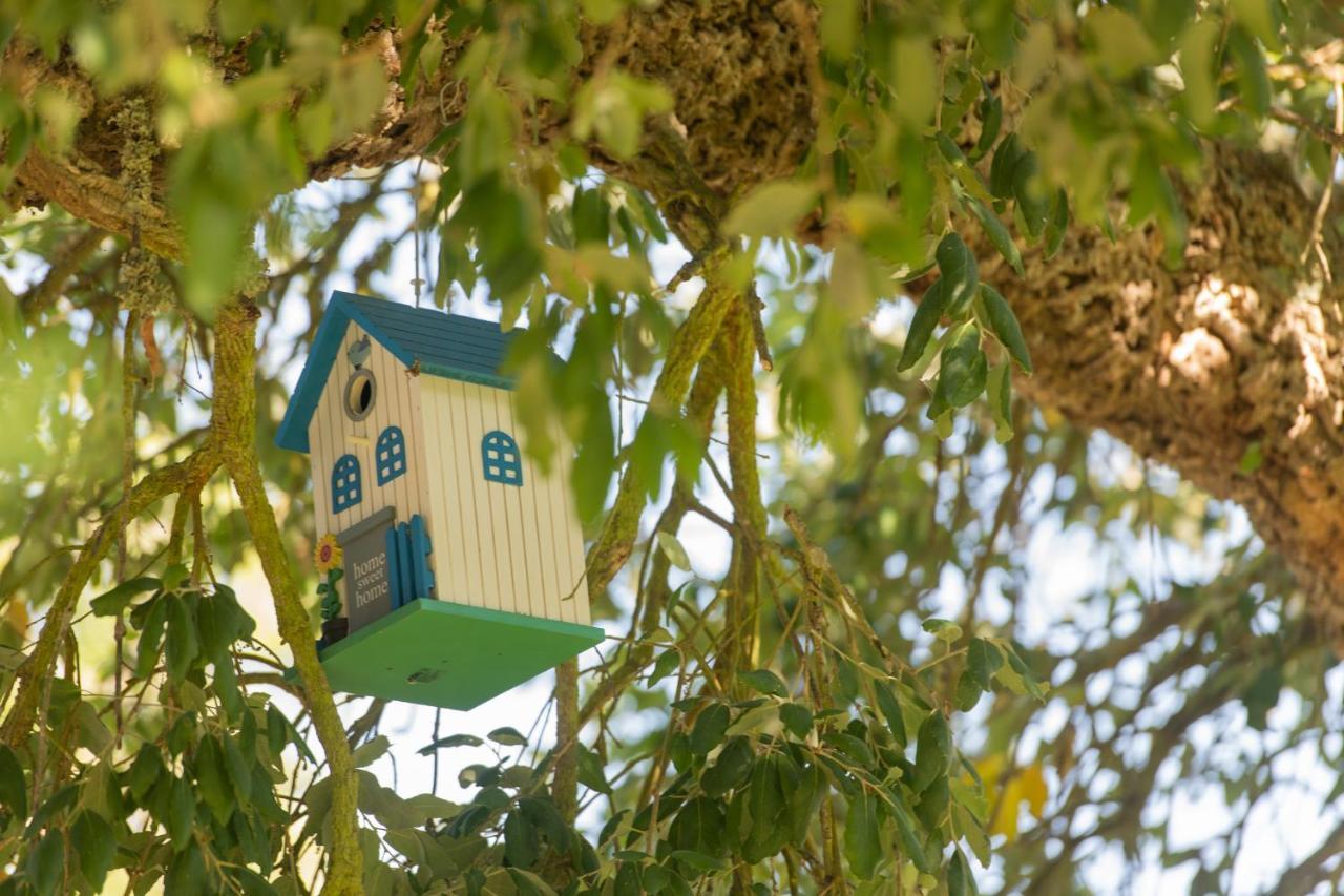 Mystay - Herdade Do Vale Da Abelheira Grândola Dış mekan fotoğraf